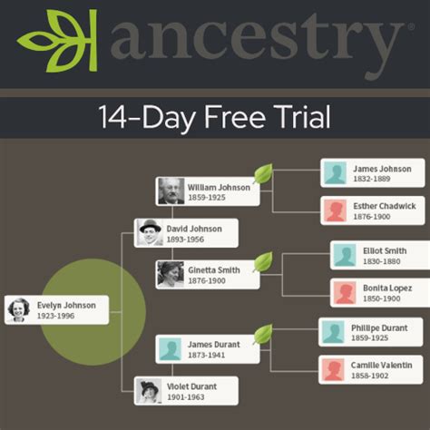 14 day free trial ancestry